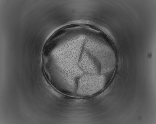 X0000092231228200710051212