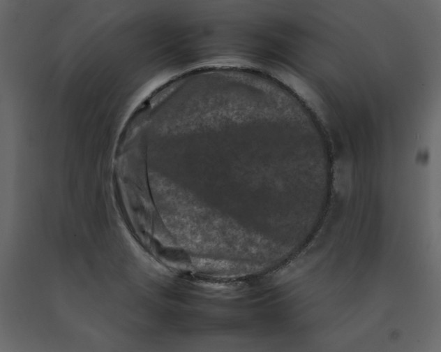 X0000092231229200710051212