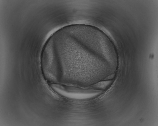 X0000092231230200710051212