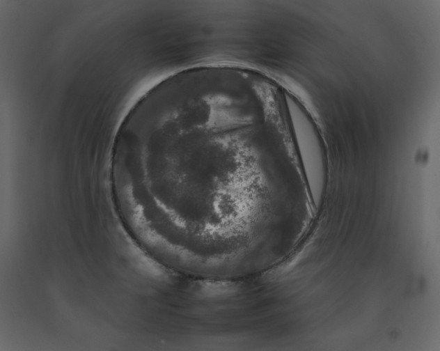 X0000092231231200710051212