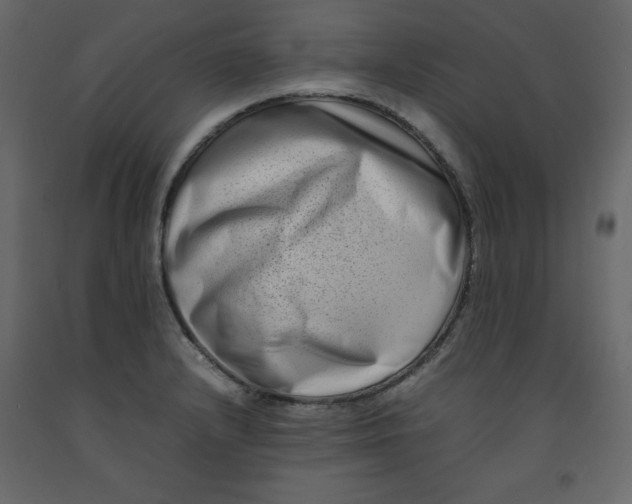 X0000092231232200710051212