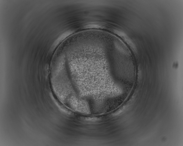 X0000092231233200710051212