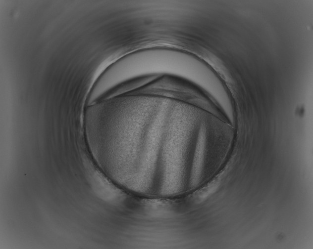 X0000092231234200710051212