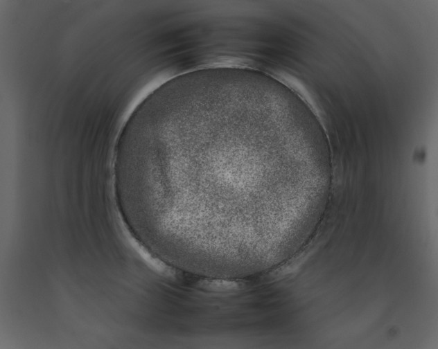 X0000092231235200710051212