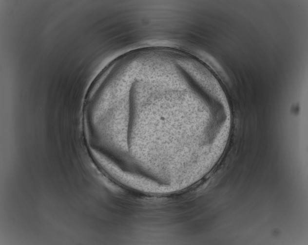 X0000092231236200710051212