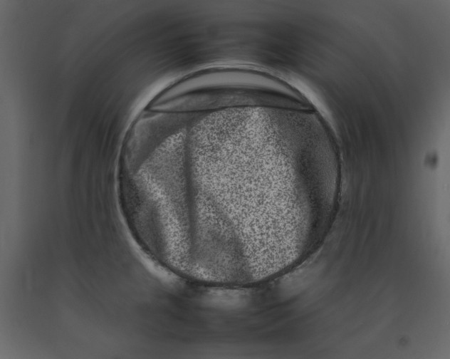 X0000092231237200710051212