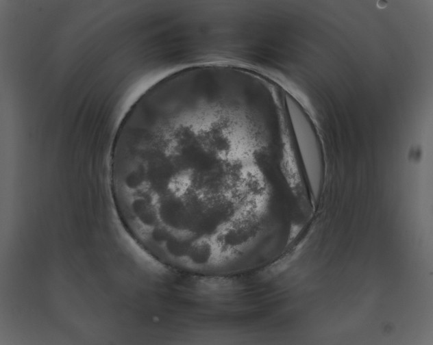 X0000092231239200710051212