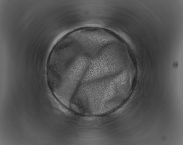 X0000092231240200710051212