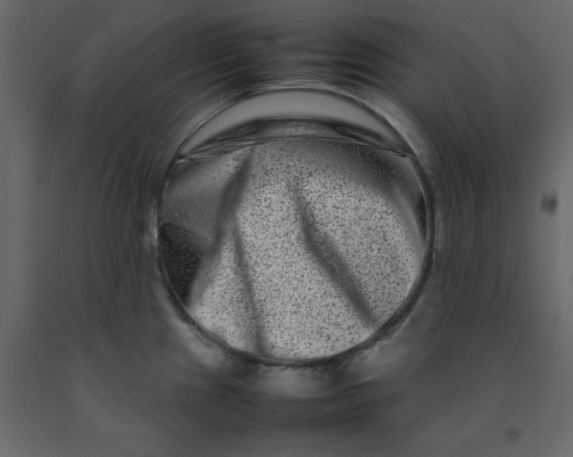 X0000092231241200710051212