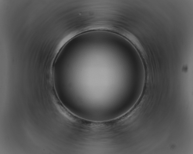 X0000092231242200710051212