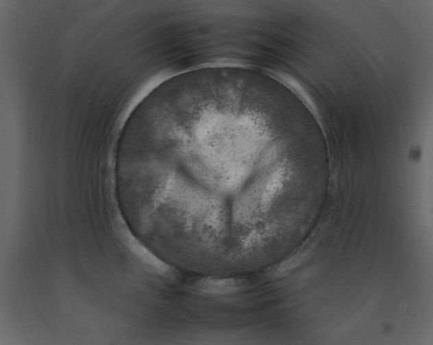 X0000092231243200710051212