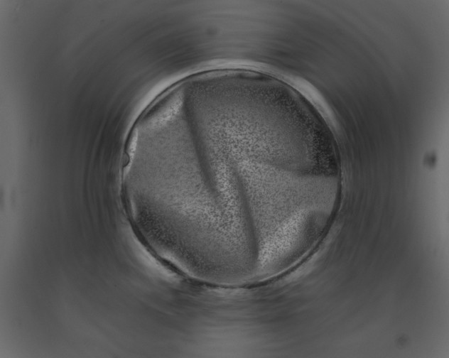 X0000092231244200710051212