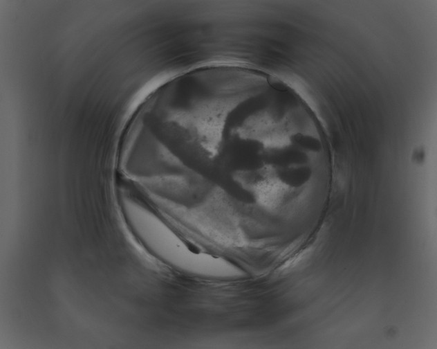 X0000092231245200710051213