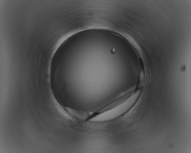 X0000092231246200710051213