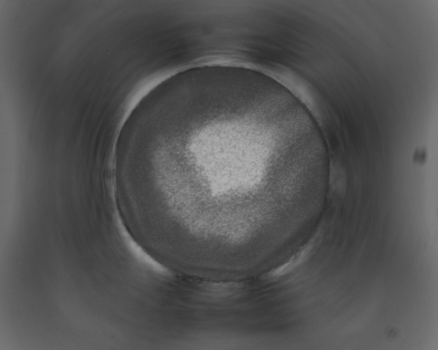 X0000092231247200710051213