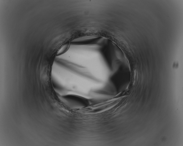 X0000092231250200710051212