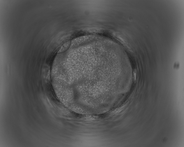 X0000092231251200710051212