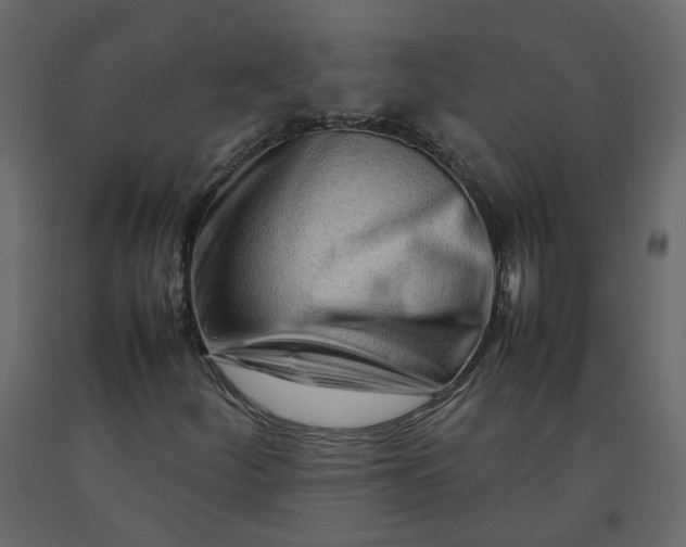 X0000092231252200710051212