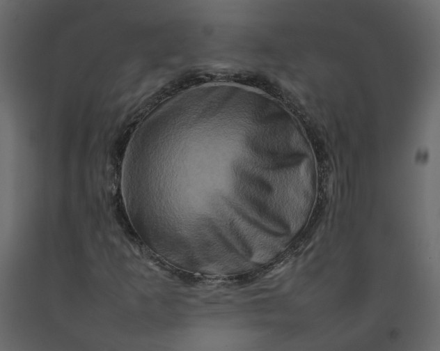 X0000092231253200710051212