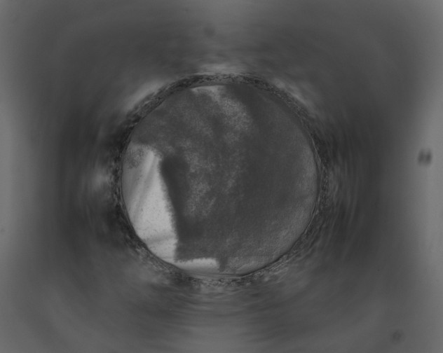 X0000092231254200710051212