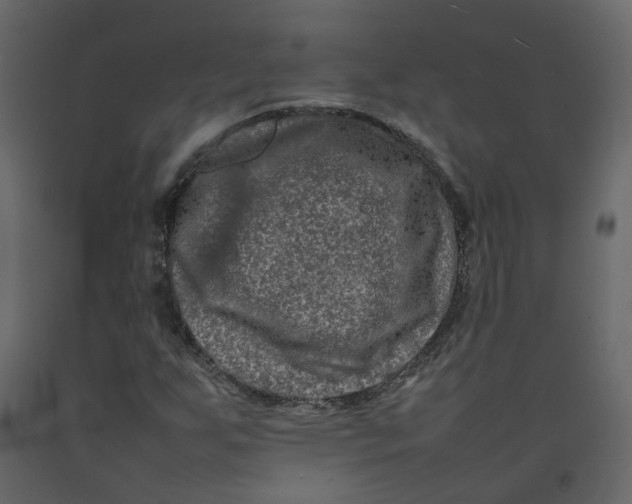 X0000092231255200710051212