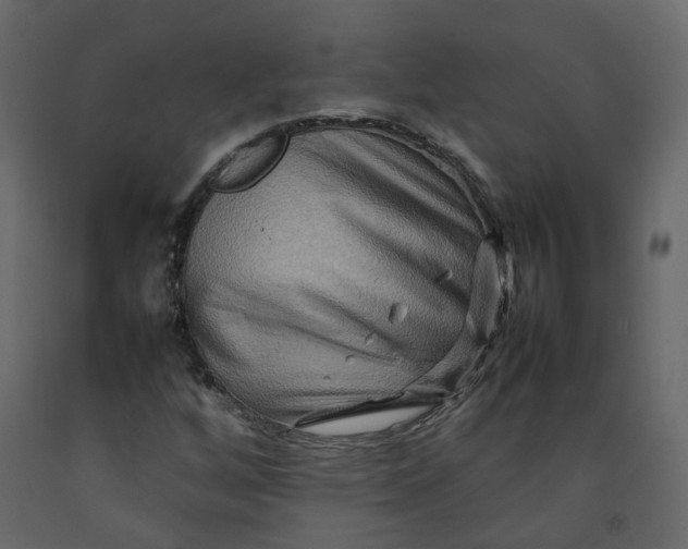 X0000092231256200710051212