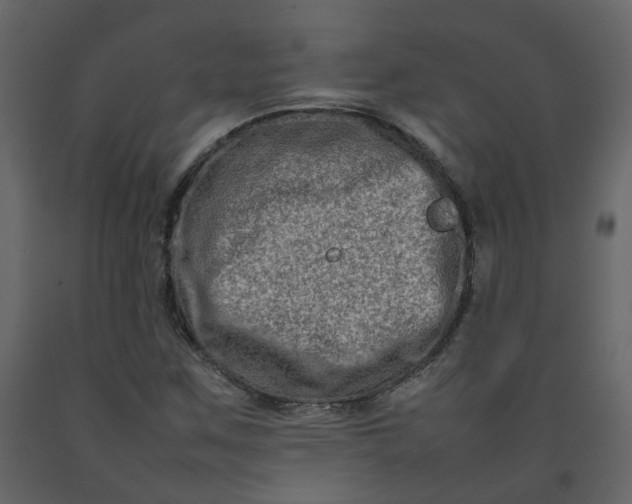 X0000092231259200710051212