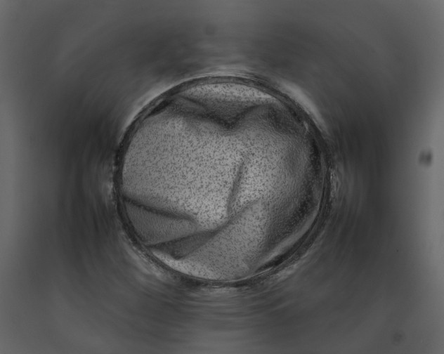 X0000092231260200710051212