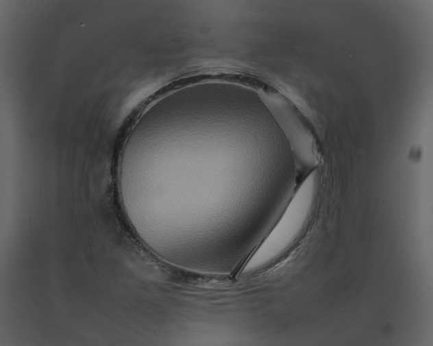 X0000092231261200710051212