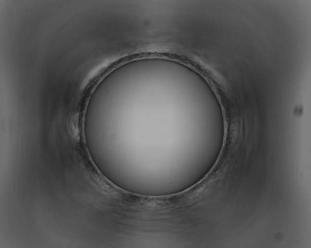 X0000092231262200710051212