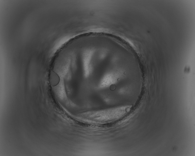 X0000092231263200710051212