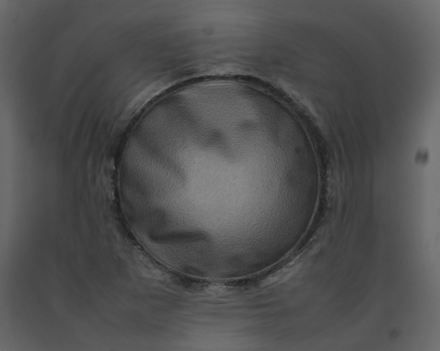 X0000092231265200710051212