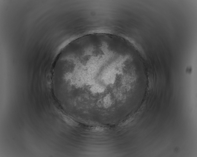 X0000092231266200710051212