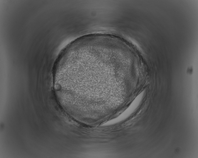 X0000092231267200710051212