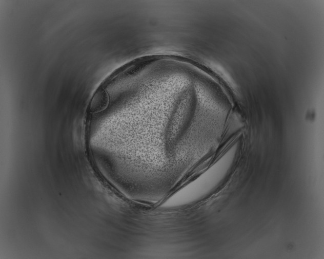 X0000092231268200710051212