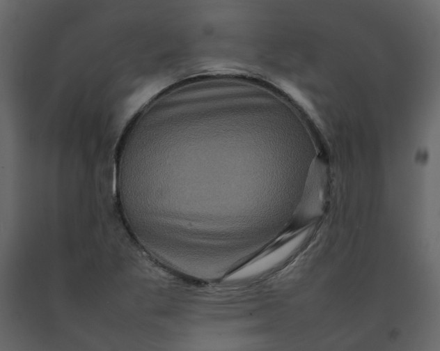 X0000092231269200710051212