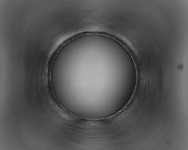 X0000092231270200710051212