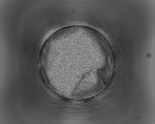 X0000092231271200710051212