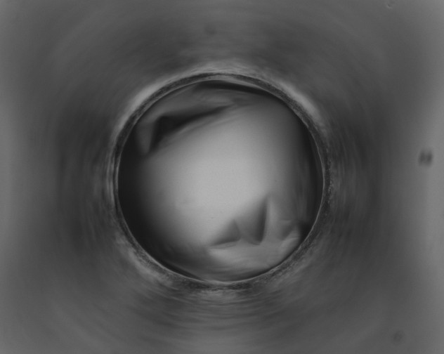 X0000092231272200710051212