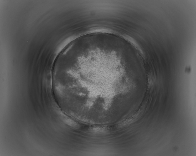 X0000092231274200710051212