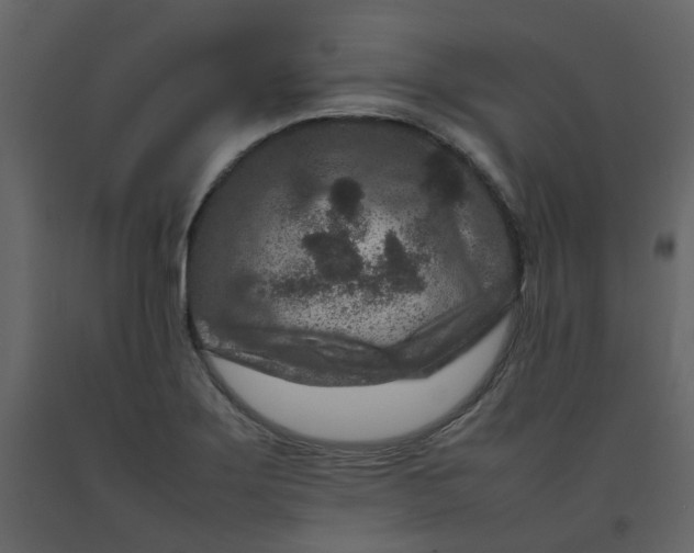 X0000092231275200710051212