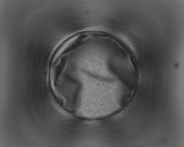 X0000092231276200710051212