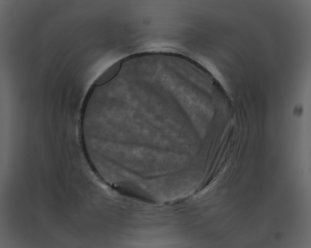 X0000092231277200710051212