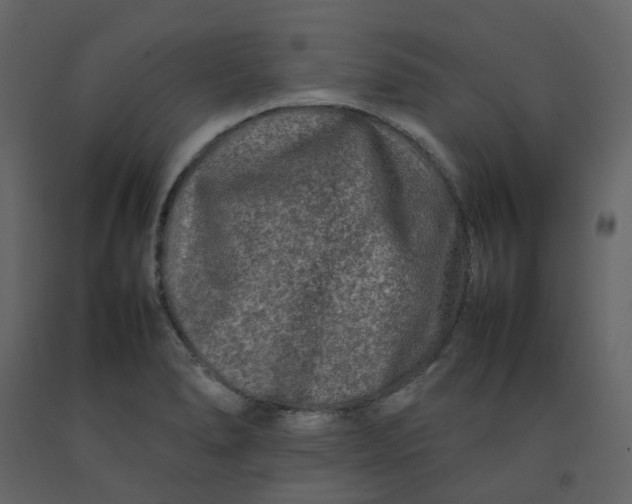 X0000092231278200710051212