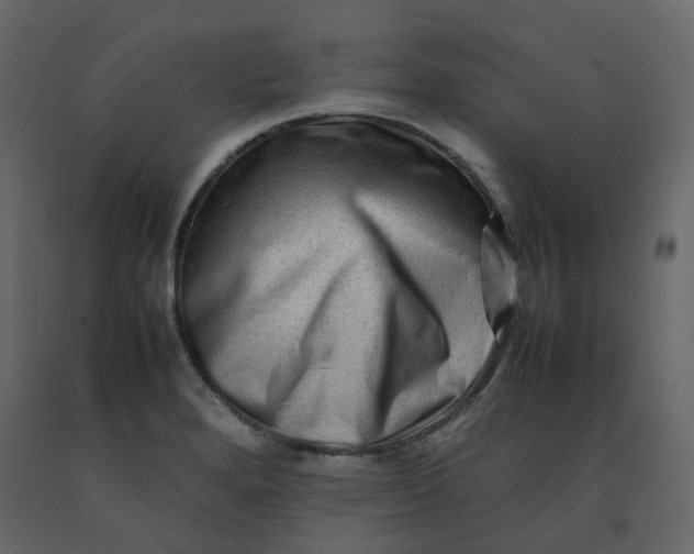 X0000092231280200710051212