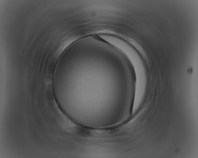 X0000092231281200710051212