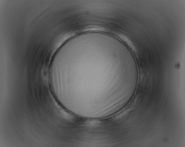 X0000092231282200710051212