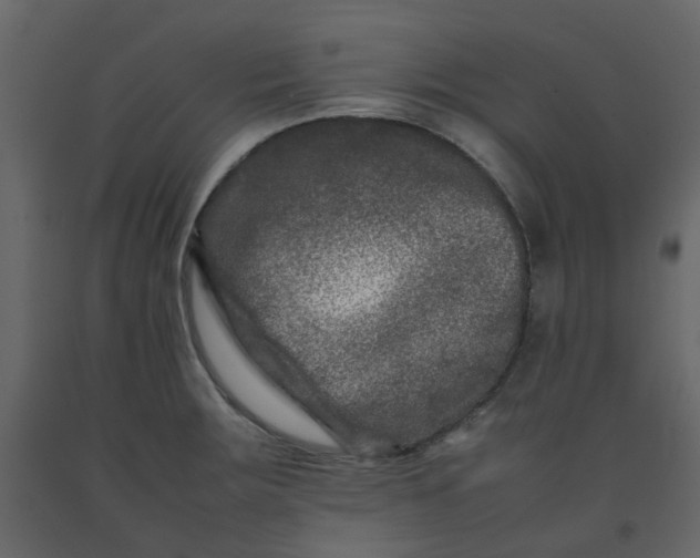 X0000092231283200710051212