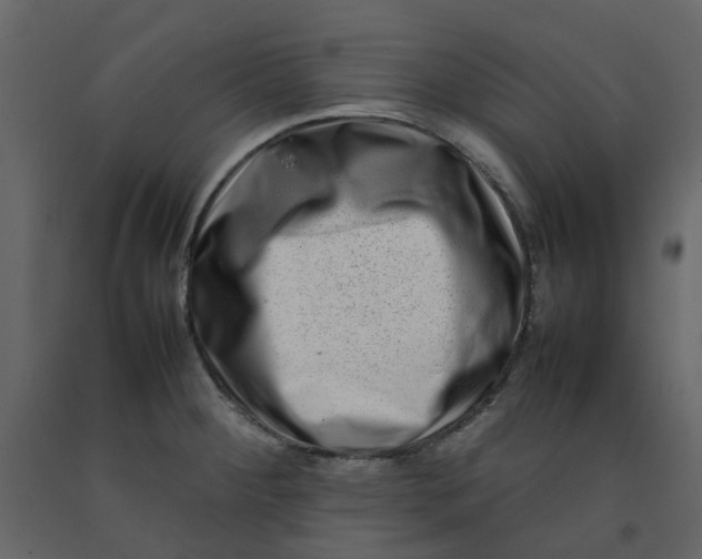 X0000092231284200710051212