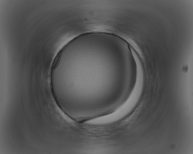 X0000092231285200710051211